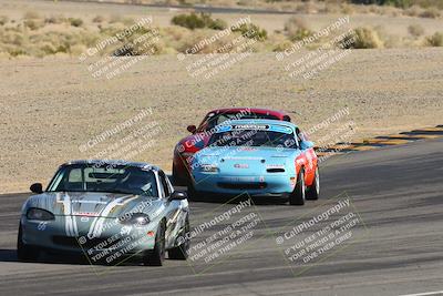 media/Feb-18-2024-Nasa AZ (Sun) [[891db5b212]]/7-Race Group A/Session 1 Turn 12 Exit-Bowl Entry/